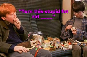 Ron and Harry in a train compartment with snacks, attempting a spell on a rat. Text reads "Turn this stupid fat rat _____"