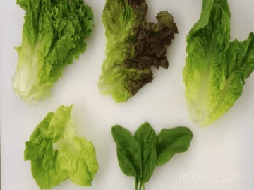 Salad Greens | Selecting & Preparing